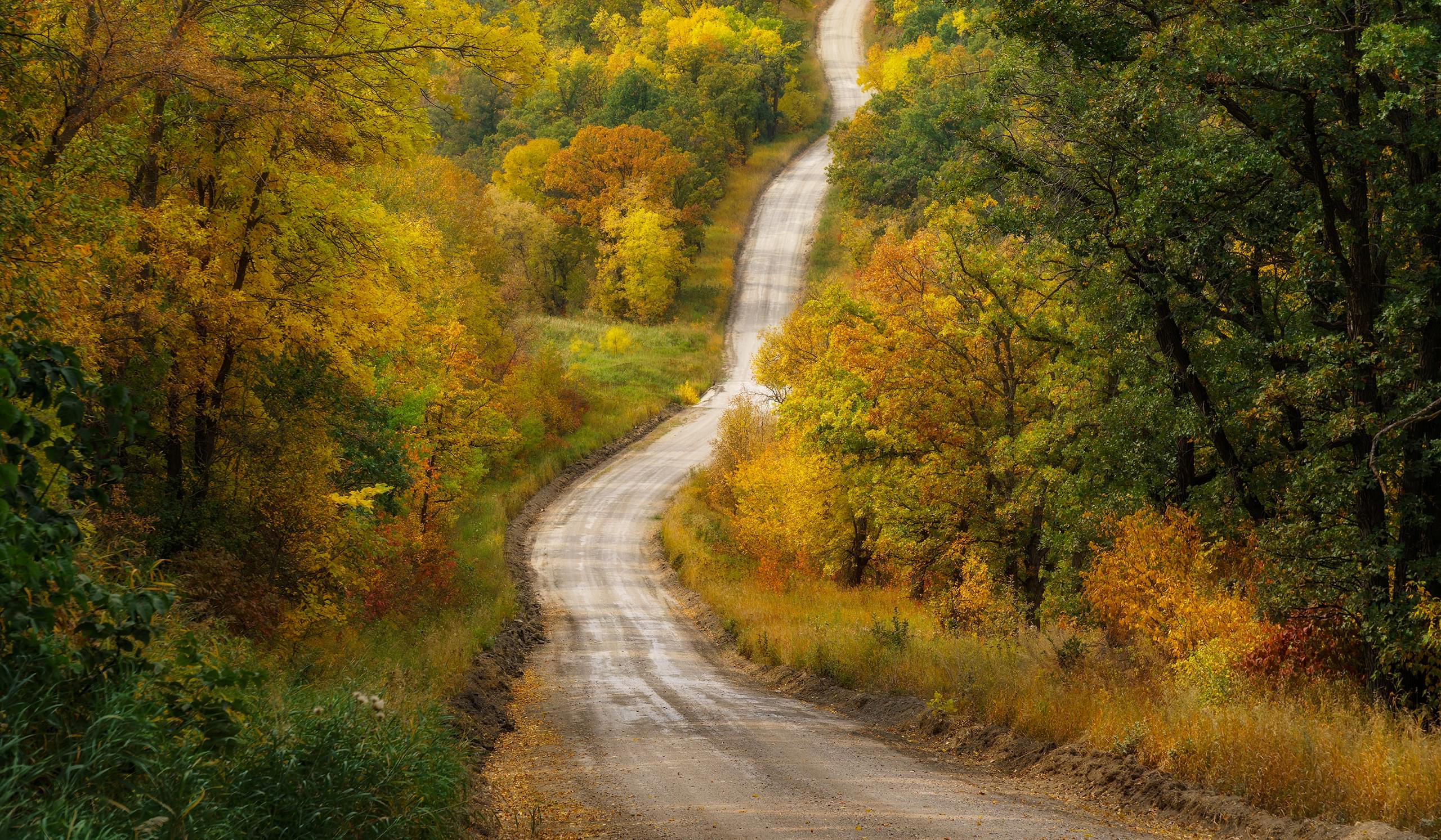 Autumn in the Pembina Valley