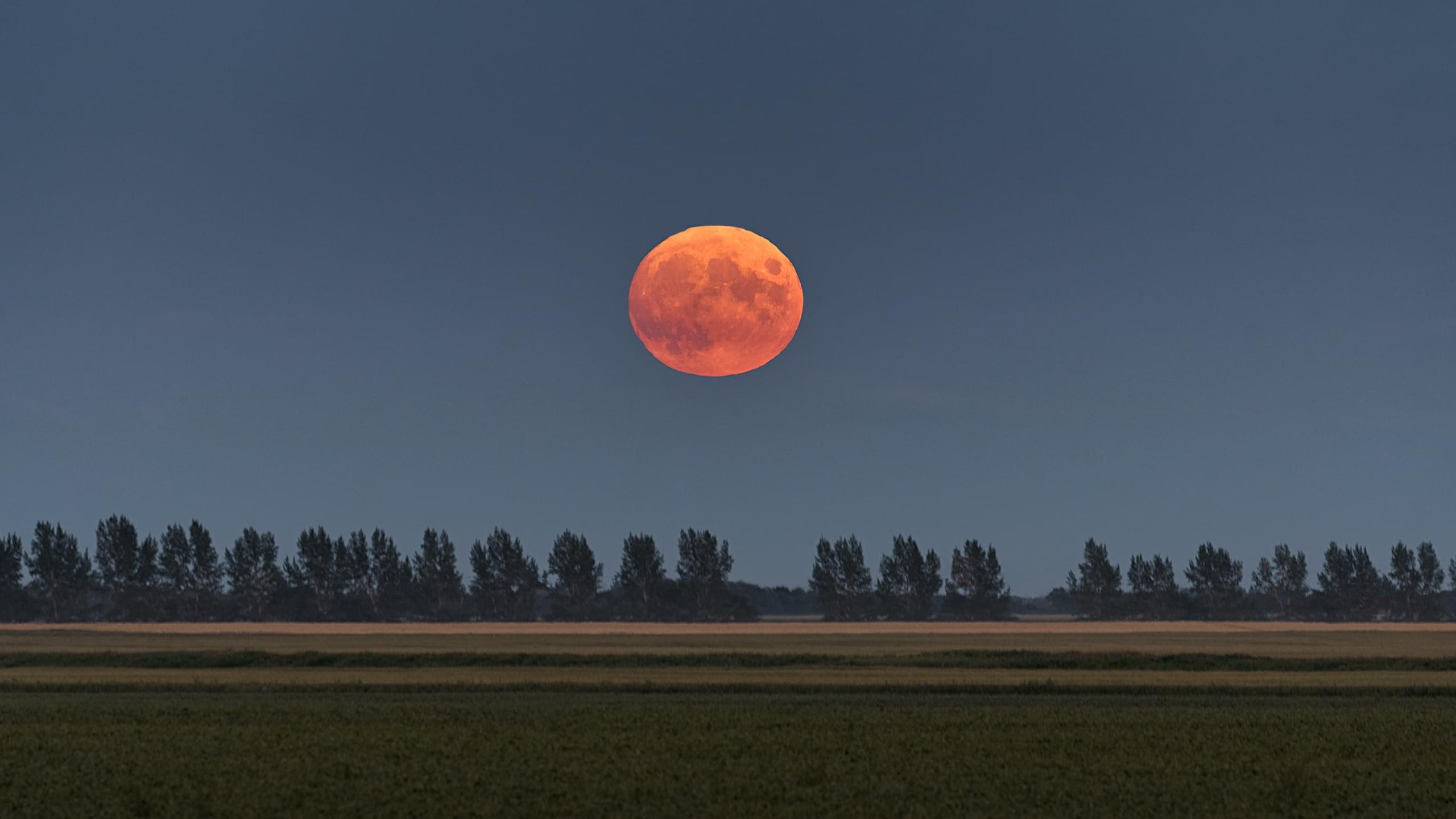 Harvest Moon