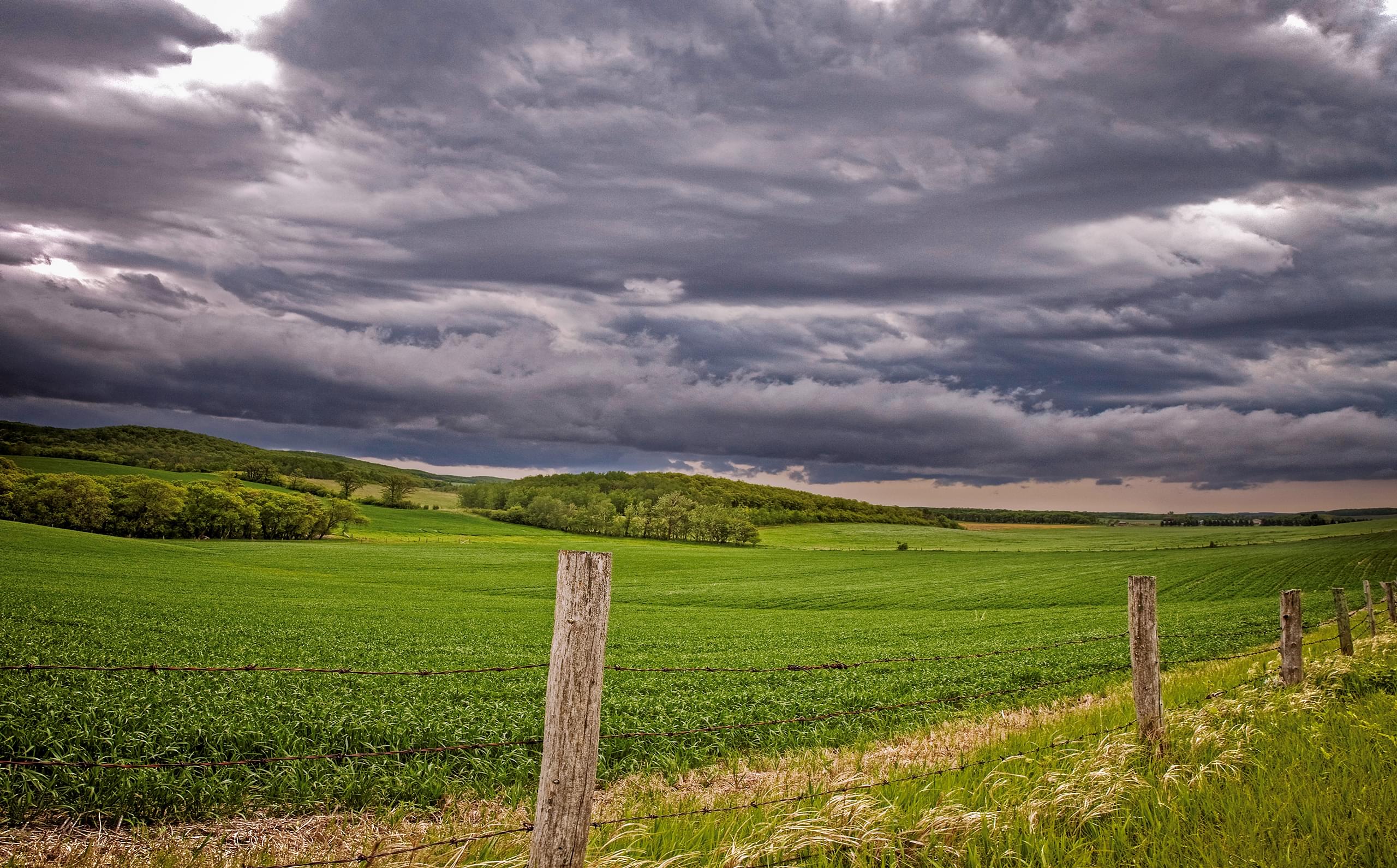 Skies Near Treherne