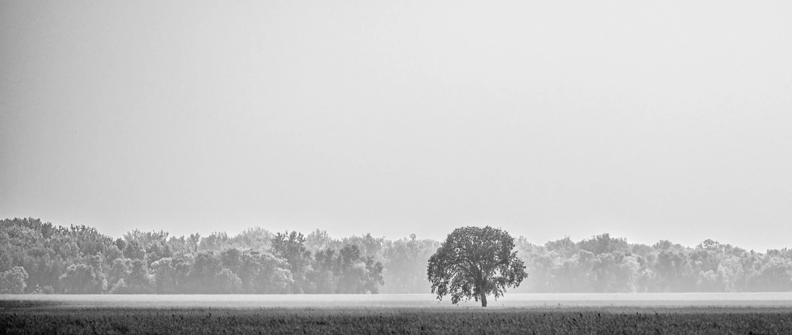 Wildfire Smoke Haze Near St Francis Xavier, MB