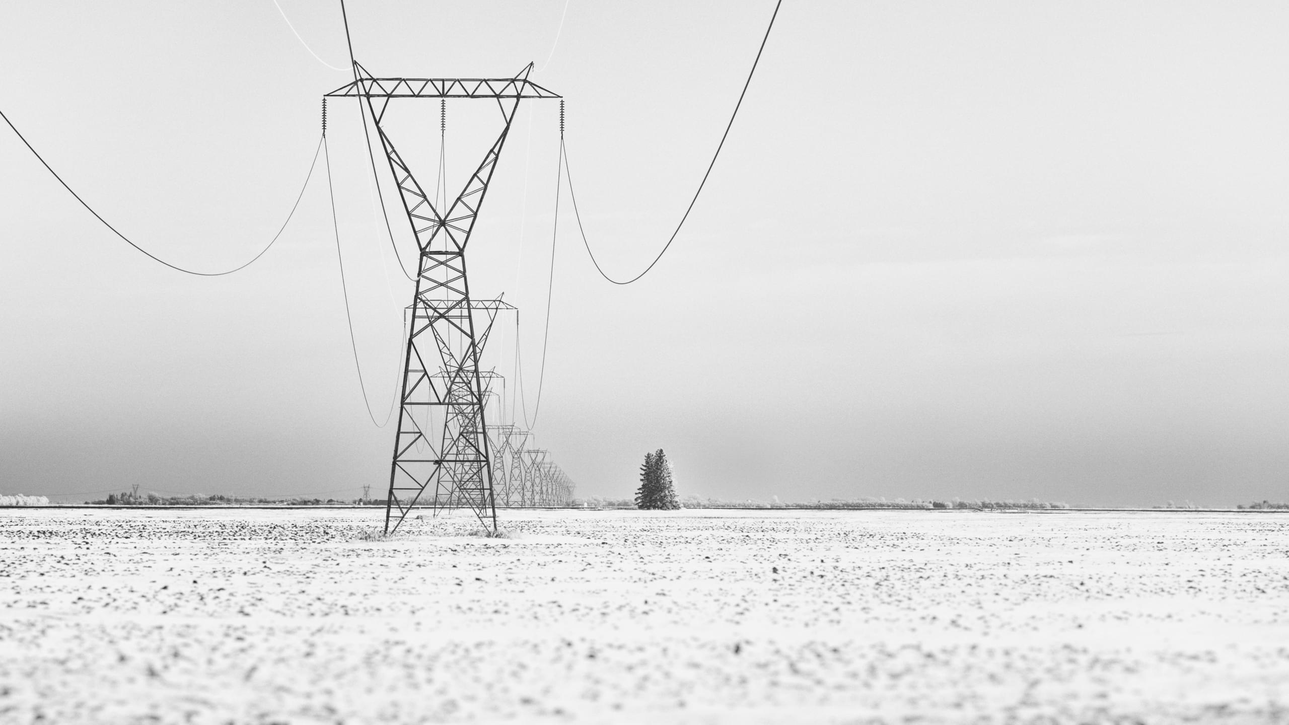 Hydro Lines (B&W)