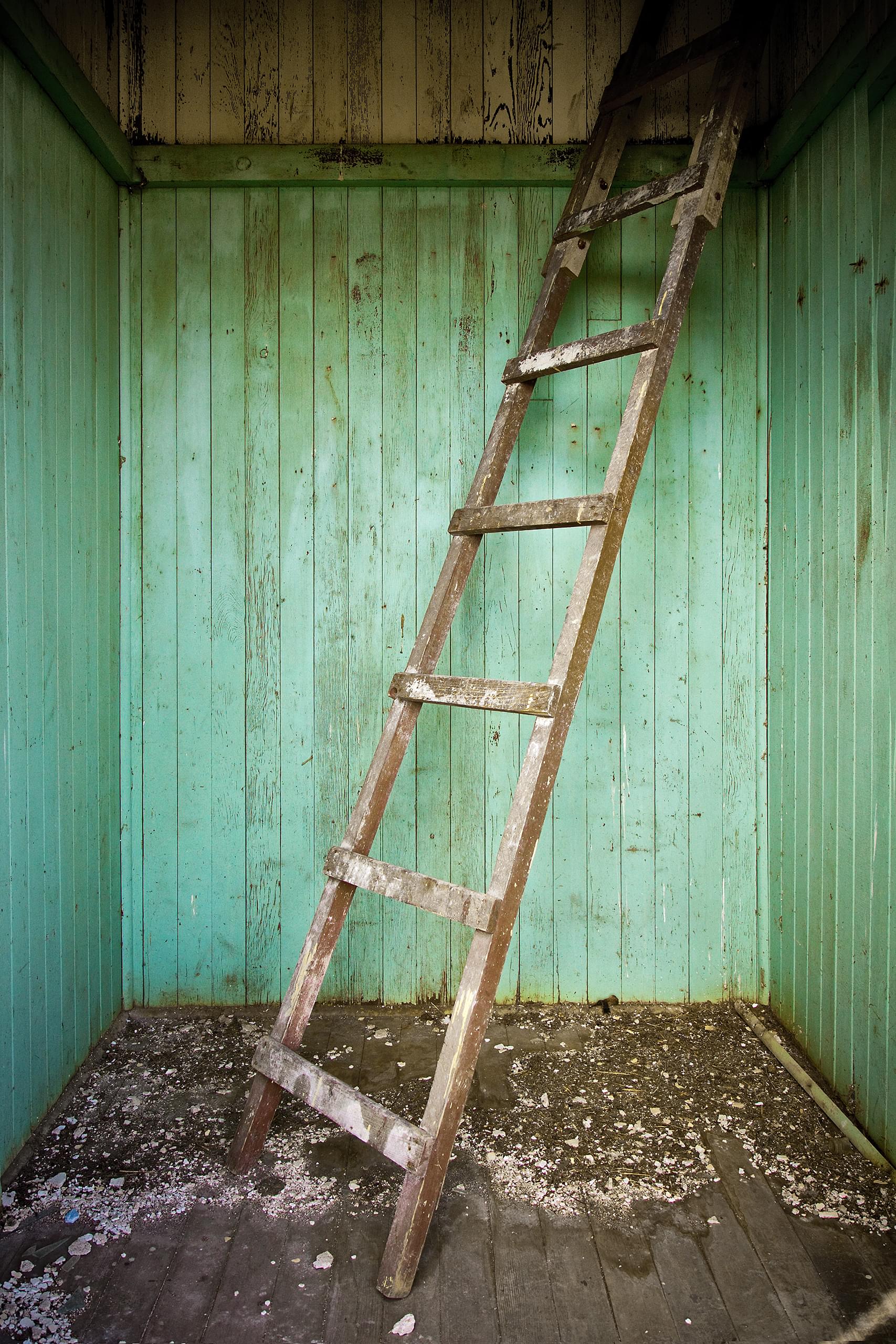Bay Island School Ladder
